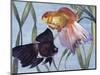 Goldfishes (Carassius Auratus), Cyprinidae-null-Mounted Giclee Print