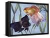 Goldfishes (Carassius Auratus), Cyprinidae-null-Framed Stretched Canvas