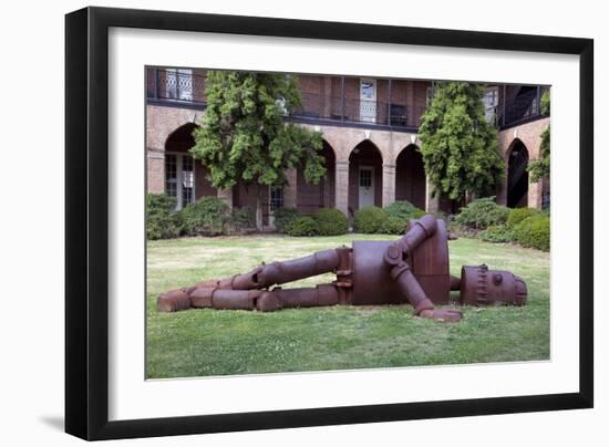 Goldie (1971) Outdoor Art University Of Alabama-Carol Highsmith-Framed Art Print