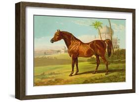 Goldie Arab-Samuel Sidney-Framed Art Print