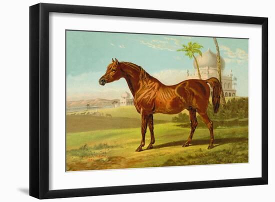 Goldie Arab-Samuel Sidney-Framed Art Print