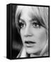 Goldie Hawn - Shampoo-null-Framed Stretched Canvas