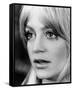 Goldie Hawn - Shampoo-null-Framed Stretched Canvas