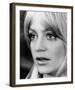 Goldie Hawn - Shampoo-null-Framed Photo