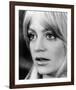 Goldie Hawn - Shampoo-null-Framed Photo