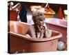 Goldie Hawn-null-Stretched Canvas