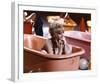 Goldie Hawn-null-Framed Photo