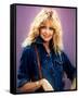 Goldie Hawn-null-Framed Stretched Canvas