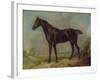 Golding Constable's Black Riding-Horse, C.1805-10 (Oil on Panel)-John Constable-Framed Giclee Print