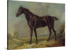Golding Constable's Black Riding-Horse, C.1805-10 (Oil on Panel)-John Constable-Stretched Canvas