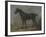 Golding Constable's Black Riding-Horse-John Constable-Framed Premium Giclee Print