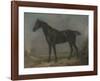 Golding Constable's Black Riding-Horse-John Constable-Framed Premium Giclee Print