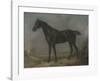 Golding Constable's Black Riding-Horse-John Constable-Framed Premium Giclee Print