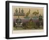 Goldsmiths Work from Australia-null-Framed Giclee Print