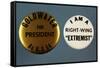 Goldwater Presidential Campaign Buttons-David J. Frent-Framed Stretched Canvas