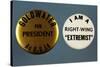 Goldwater Presidential Campaign Buttons-David J. Frent-Stretched Canvas