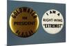 Goldwater Presidential Campaign Buttons-David J. Frent-Mounted Photographic Print