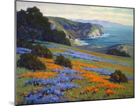 Goleta Point-John Gamble-Mounted Art Print