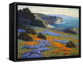 Goleta Point-John Gamble-Framed Stretched Canvas