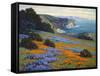 Goleta Point-John Gamble-Framed Stretched Canvas