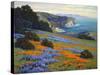 Goleta Point-John Gamble-Stretched Canvas