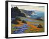 Goleta Point-John Gamble-Framed Art Print