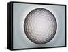 Golf Anyone-Nathan Griffith-Framed Stretched Canvas