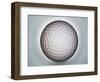 Golf Anyone-Nathan Griffith-Framed Photographic Print