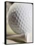 Golf Ball and Golf Tee-Tom Grill-Framed Stretched Canvas