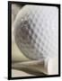 Golf Ball and Golf Tee-Tom Grill-Framed Photographic Print