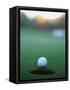 Golf Ball Close to Hole-Robert Llewellyn-Framed Stretched Canvas