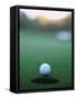 Golf Ball Close to Hole-Robert Llewellyn-Framed Stretched Canvas