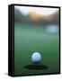 Golf Ball Close to Hole-Robert Llewellyn-Framed Stretched Canvas