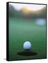 Golf Ball Close to Hole-Robert Llewellyn-Framed Stretched Canvas