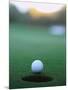 Golf Ball Close to Hole-Robert Llewellyn-Mounted Photographic Print