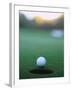 Golf Ball Close to Hole-Robert Llewellyn-Framed Photographic Print