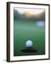 Golf Ball Close to Hole-Robert Llewellyn-Framed Photographic Print