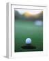 Golf Ball Close to Hole-Robert Llewellyn-Framed Photographic Print