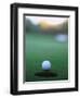 Golf Ball Close to Hole-Robert Llewellyn-Framed Photographic Print