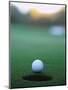 Golf Ball Close to Hole-Robert Llewellyn-Mounted Photographic Print