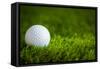 Golf Ball on Green Grass-jannoon028-Framed Stretched Canvas