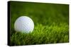 Golf Ball on Green Grass-jannoon028-Stretched Canvas