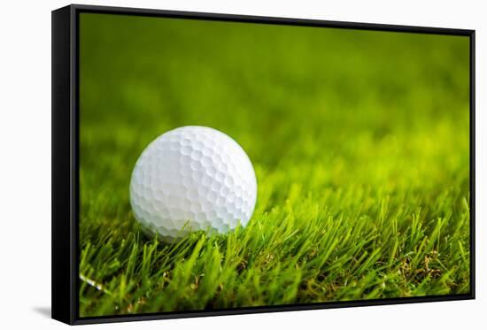 Golf Ball on Green Grass-jannoon028-Framed Stretched Canvas