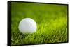 Golf Ball on Green Grass-jannoon028-Framed Stretched Canvas