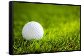 Golf Ball on Green Grass-jannoon028-Framed Stretched Canvas