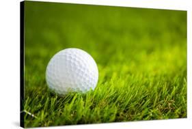 Golf Ball on Green Grass-jannoon028-Stretched Canvas