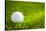 Golf Ball on Green Grass-jannoon028-Stretched Canvas