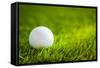 Golf Ball on Green Grass-jannoon028-Framed Stretched Canvas