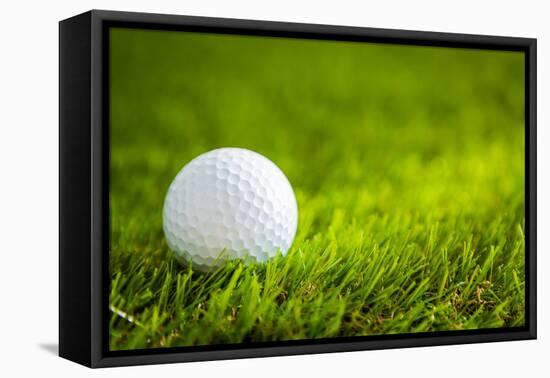 Golf Ball on Green Grass-jannoon028-Framed Stretched Canvas