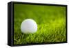 Golf Ball on Green Grass-jannoon028-Framed Stretched Canvas